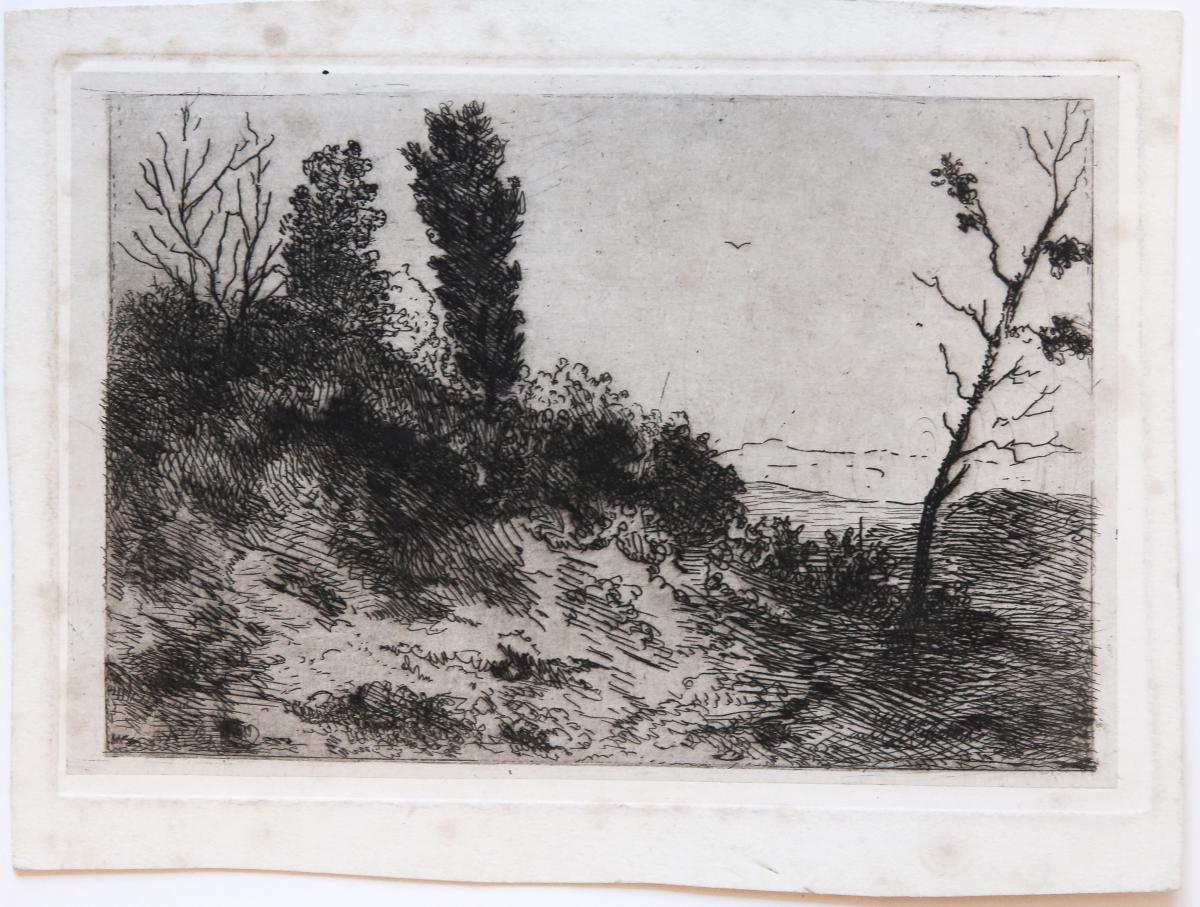 Three etchings of landscapes and plants (Landschap en planten).