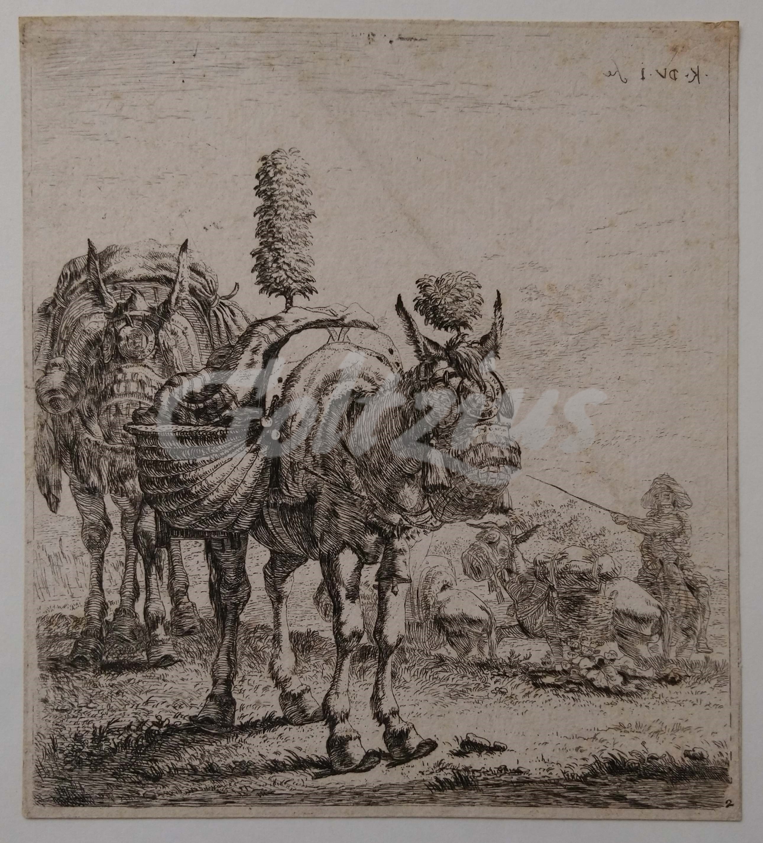JARDIN, KAREL DU, Two mules
