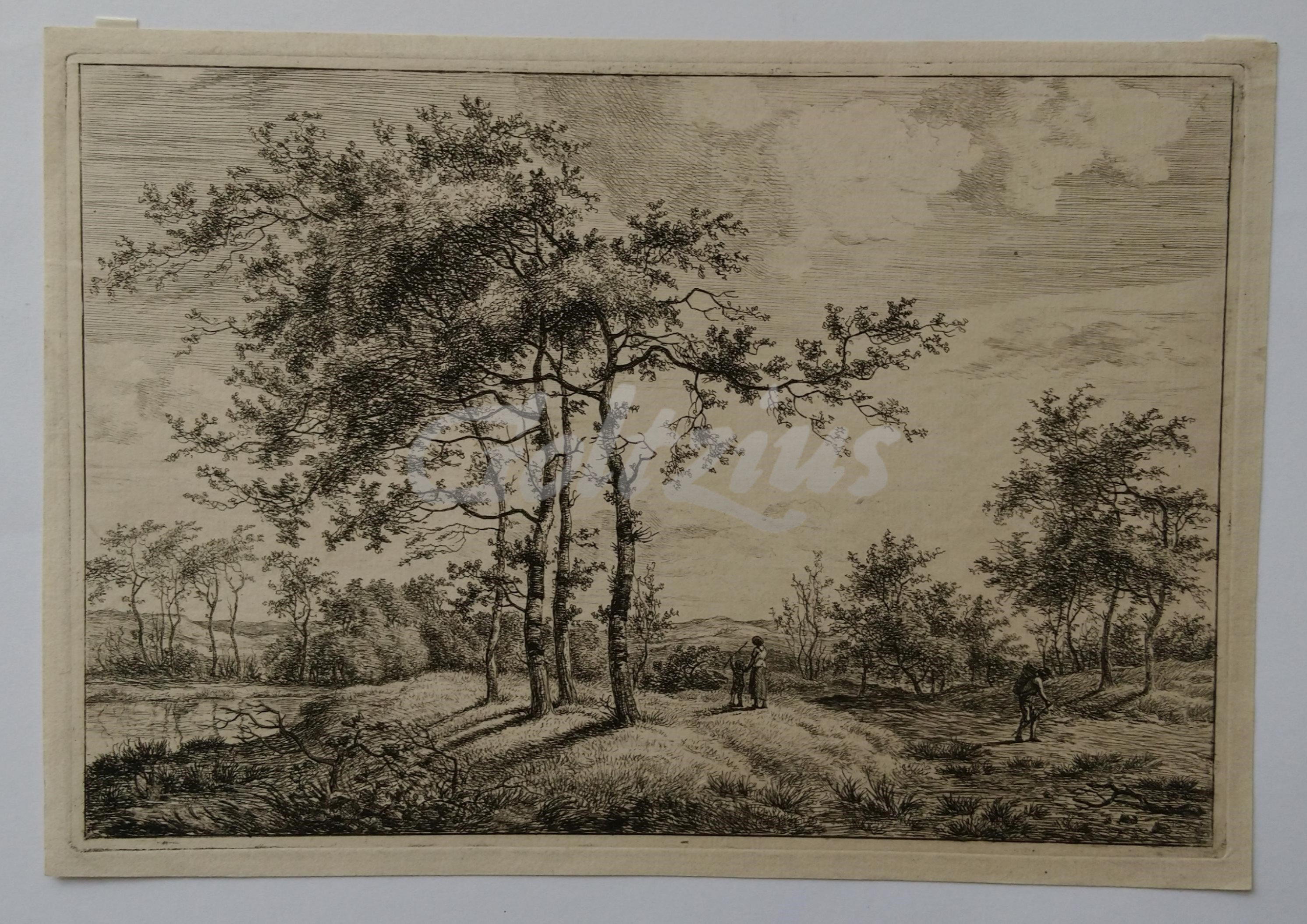 FOCK, HERMANUS (1766-1822), Landscape with slender trees