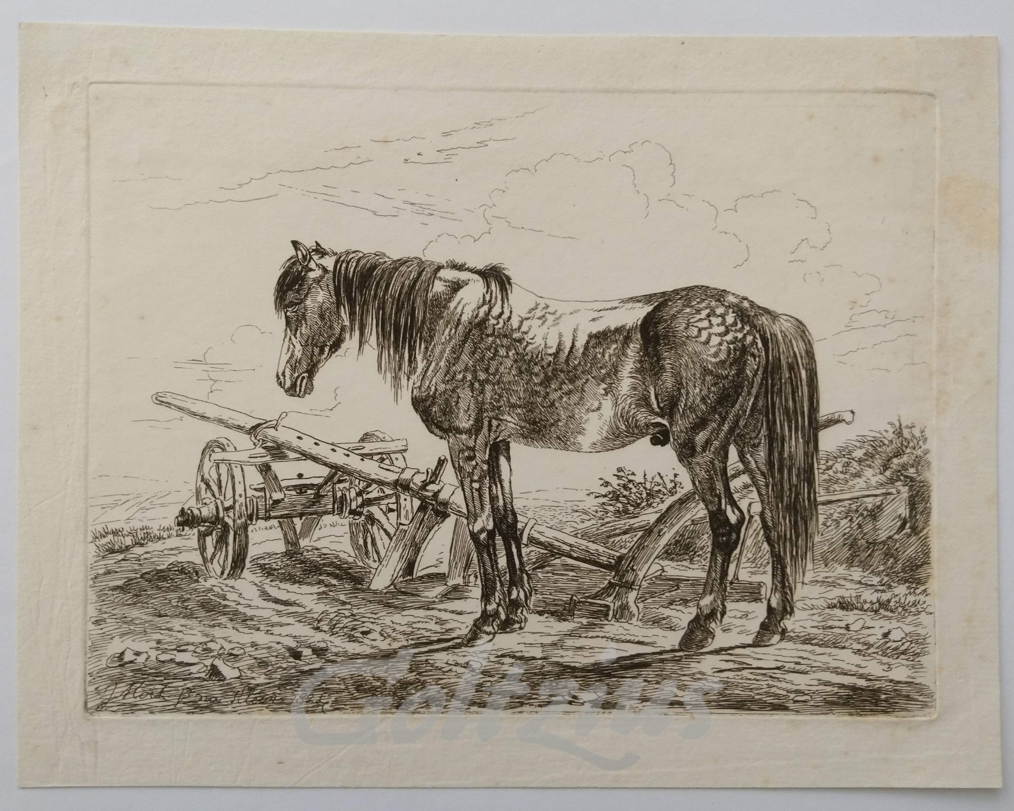 MOCK, J., Horse with plough