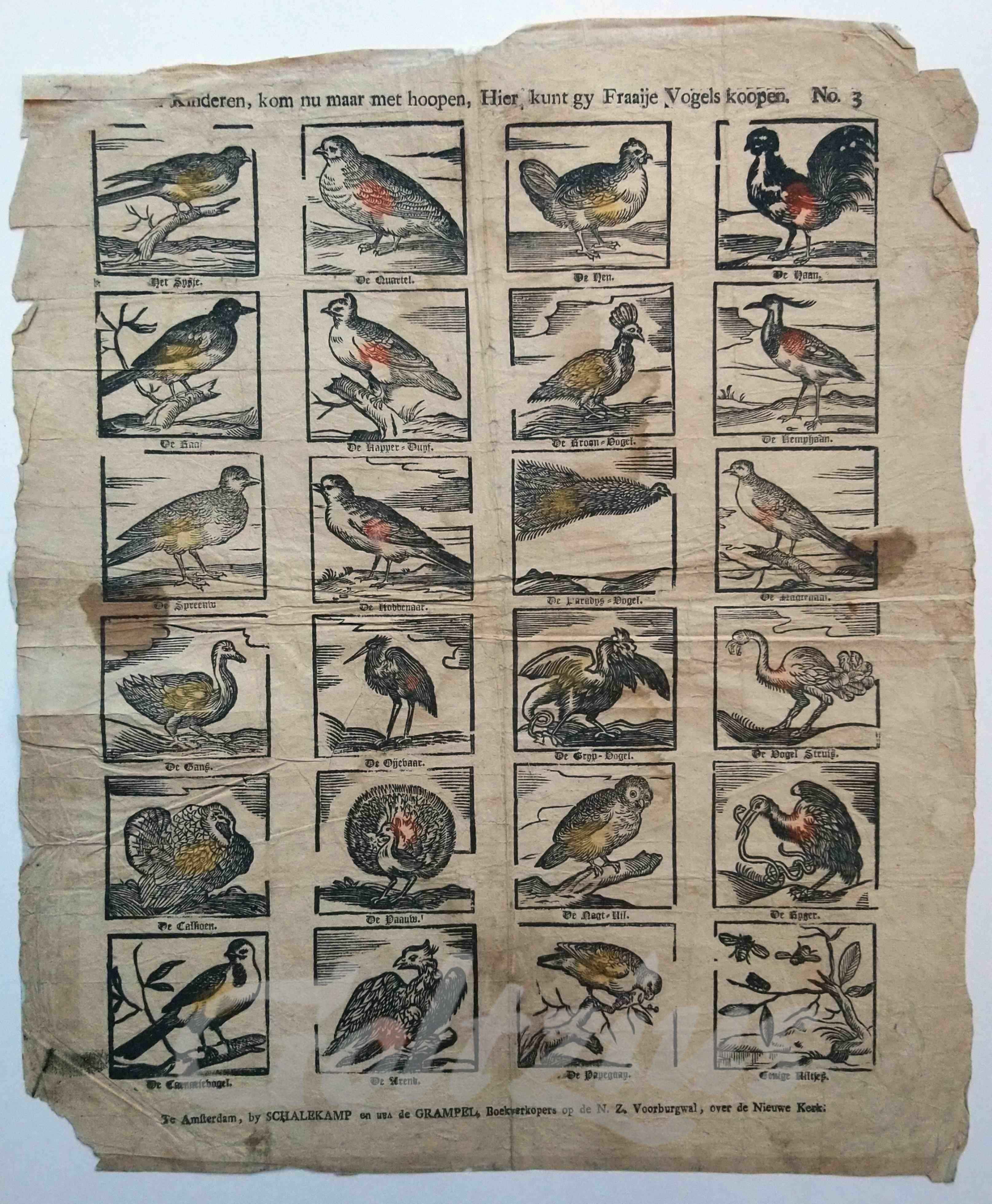 ANONYMOUS, Catchpenny print with 24 different species of bird