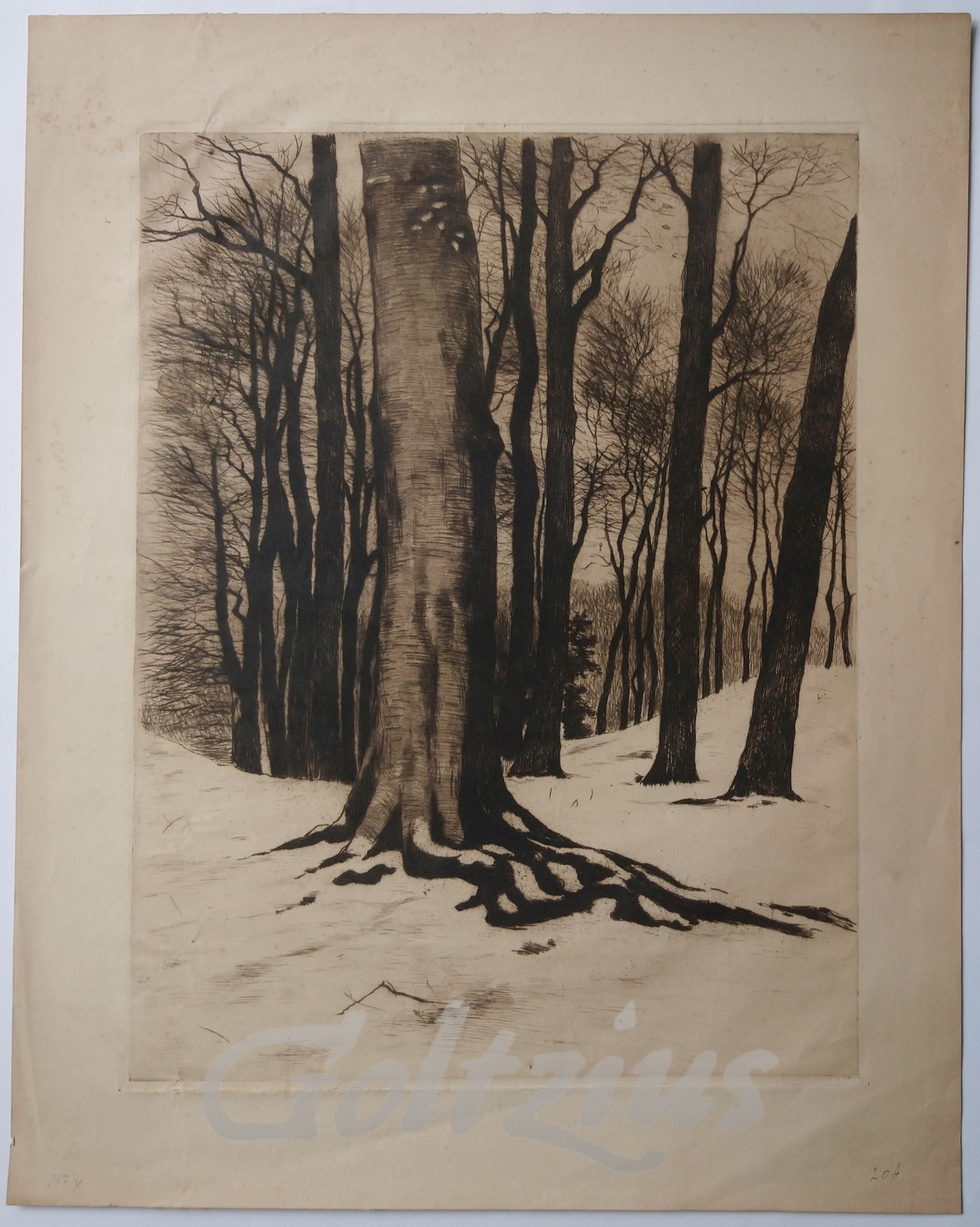 ANONYMOUS, Forest in winter