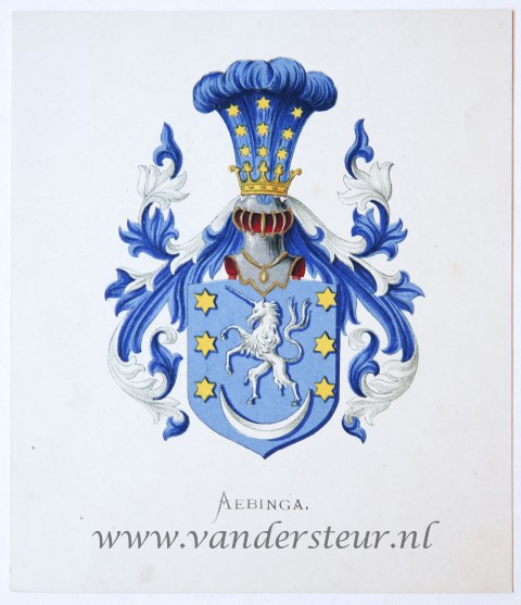 Wapenkaart/Coat of Arms: Aebinga