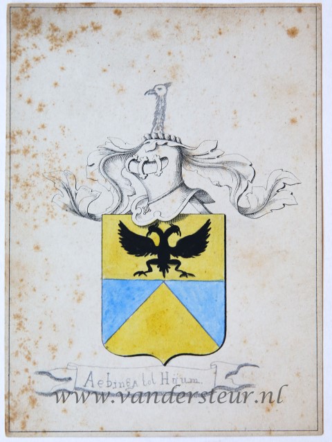 Wapenkaart/Coat of Arms: Aebinga tot Huym